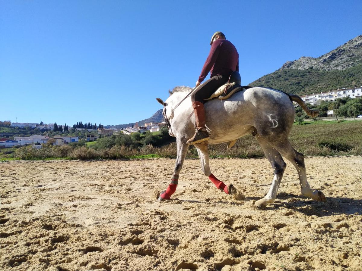 Apartamento Valle Del Guadiaro Cortes de la Frontera Exteriör bild