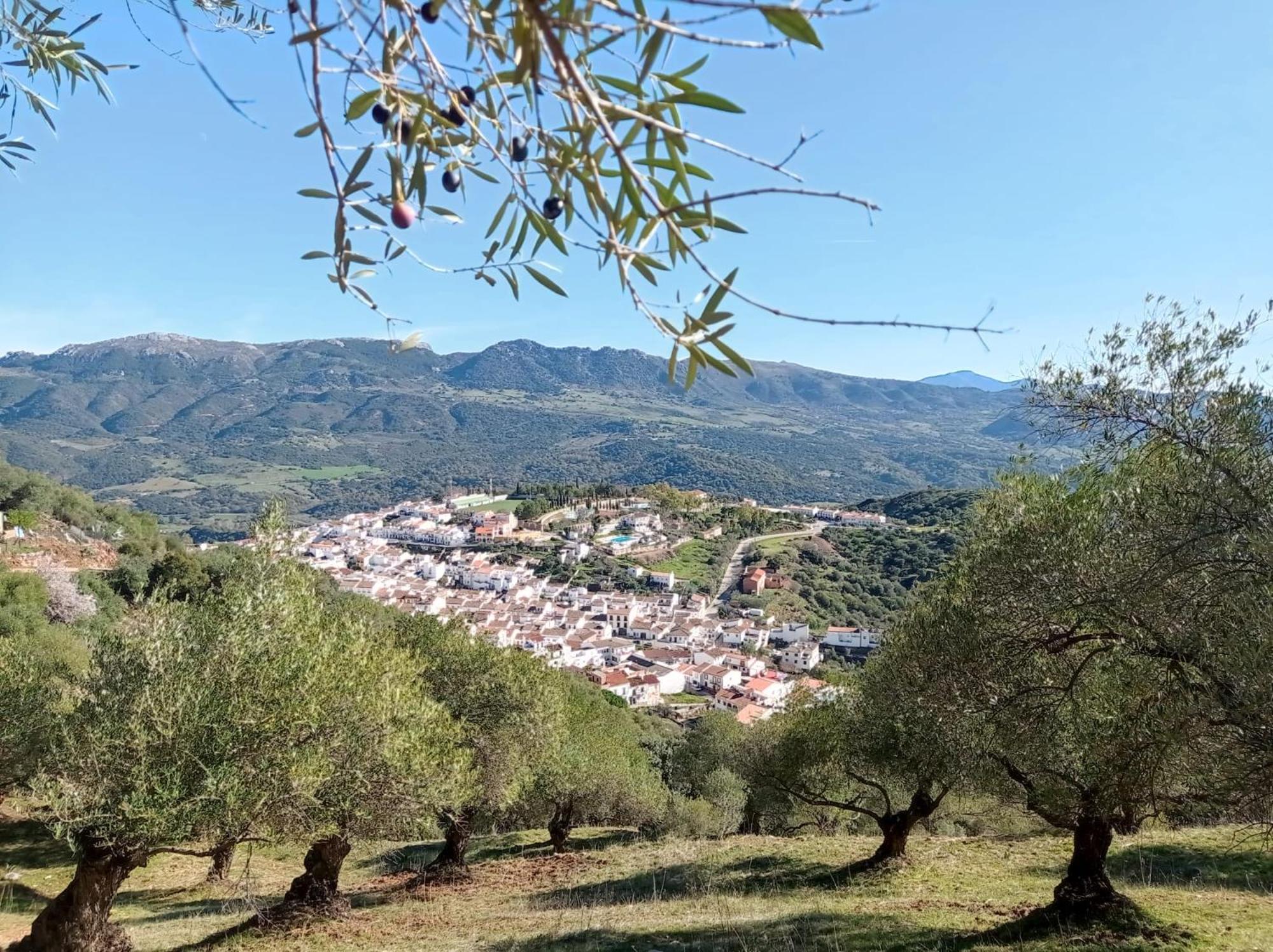 Apartamento Valle Del Guadiaro Cortes de la Frontera Exteriör bild